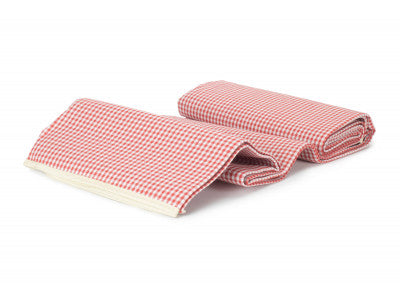 RED & WHITE GINGHAM PICNIC BLANKET