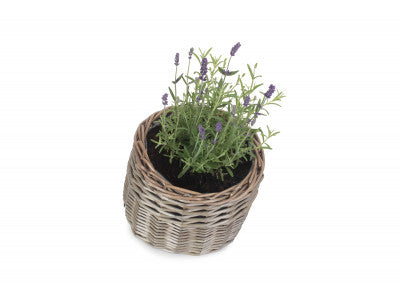 SMALL ROUND ANTIQUE WASH PLANTER