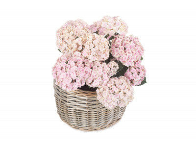 LARGE ROUND ANTIQUE WASH PLANTER