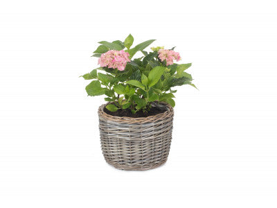 MEDIUM ROUND ANTIQUE WASH PLANTER