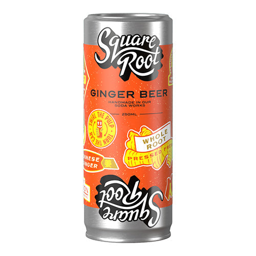 Square Root Ginger Beer 250 ml Can [WHOLE CASE]