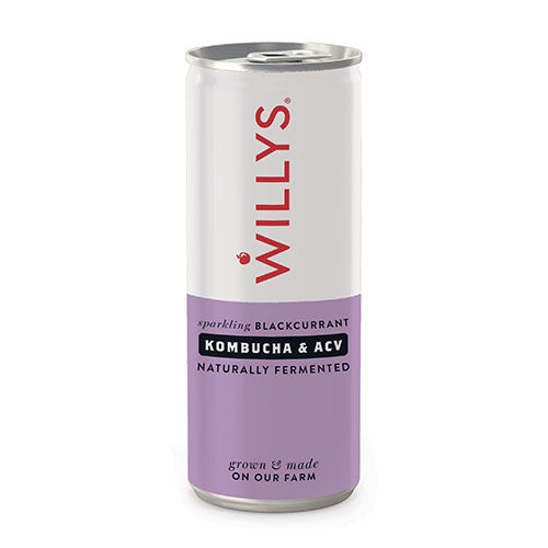 Willy's Blackcurrant Kombucha with ACV 250ml  [WHOLE CASE]