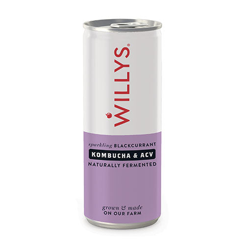 Willy's Blackcurrant Kombucha with ACV 250ml [WHOLE CASE]
