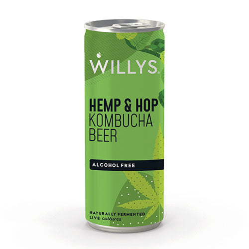 Willy's Hemp & Hop Kombucha Beer 250g Can [WHOLE CASE] by Willy's Ltd - The Pop Up Deli