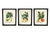 Set of Three Citrus Picture Frames